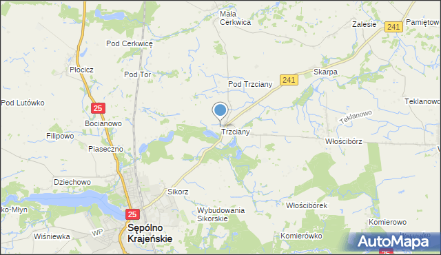 mapa Trzciany, Trzciany gmina Sępólno Krajeńskie na mapie Targeo